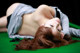 Megumi Yasu - Dream Eroticas De P9 No.fa37bc