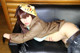 Cosplay Mikoshiba - Amamiya Nude Doggy P9 No.e8153d