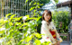 Asuna Kawai - Greenhouse Xxxfk Sex Access P2 No.991309